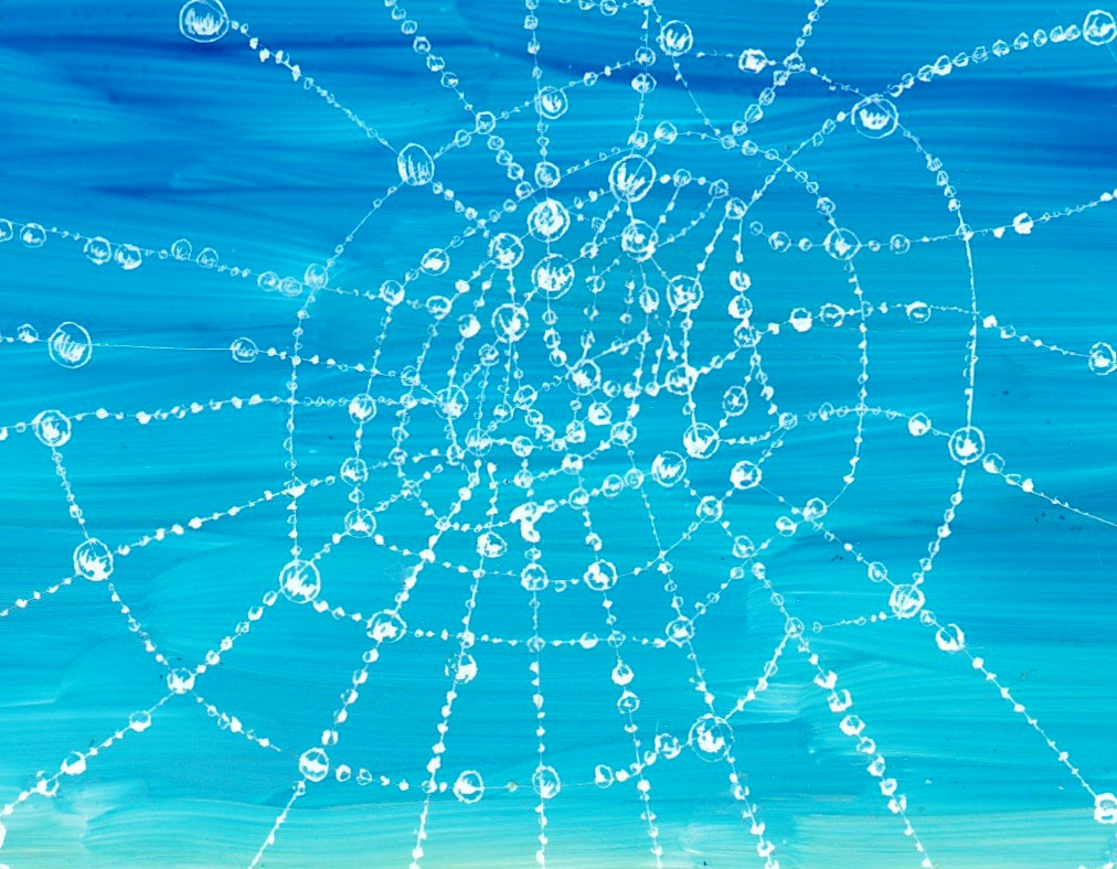 close up of dew-covered web spiral against blue sky
