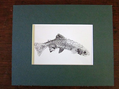 Print of Beaver Trout