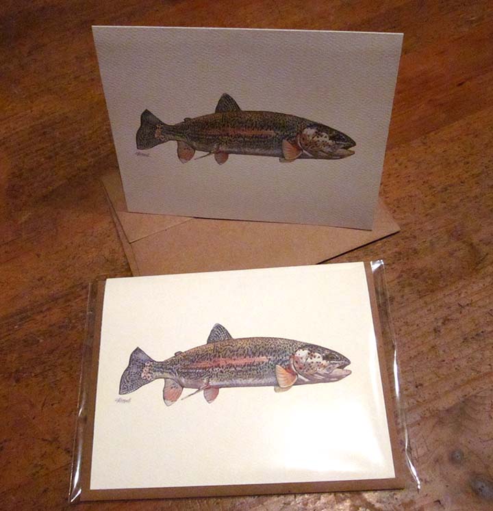 Summer card III: Rainbow trout
