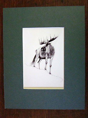 Print of Wampahoofus